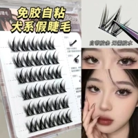 6 рядов серии Dog без каучука (собирайте и купите бесплатный золотой перо)