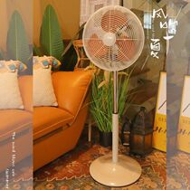 Day Department Brief Electric Fan Metal Floor Fan Home Dorm Room Silent Fan Small Fan Ecstasy Vertical Wood Grain Fan