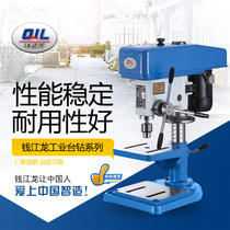 Hangzhou Qianjiang Dragon industrial grade high precision bench drill 6 12 16 20 25 32mm high power bench drill