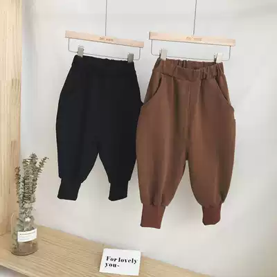 Children's sports pants 2018 autumn and winter Korean boy Harlem pants baby loose casual pants small children plus velvet pants
