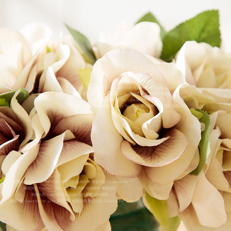 �����Ʒŷʽ���滨FZH0034