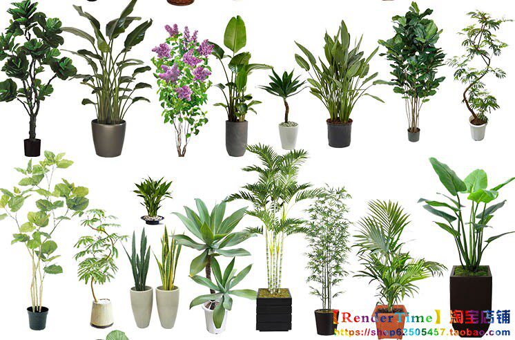 Psd盆栽素材盆栽植物系列一室內植物效果圖植物