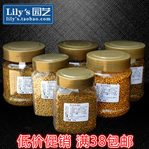 Lilys - (Austrian green manure)Succulent monthly hydrangea and other special slow-release fertilizer paid full 38 yuan