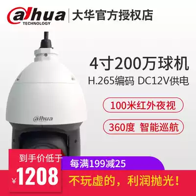 Dahua 2 million Network 4 inch ball DH-SD-49D216UE-GN-D head rotation HD ball machine