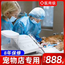 Pet shop ultrasonic dental cleaner cat and dog dental scaler dental cleaning machine clinic dental calculus removal tool