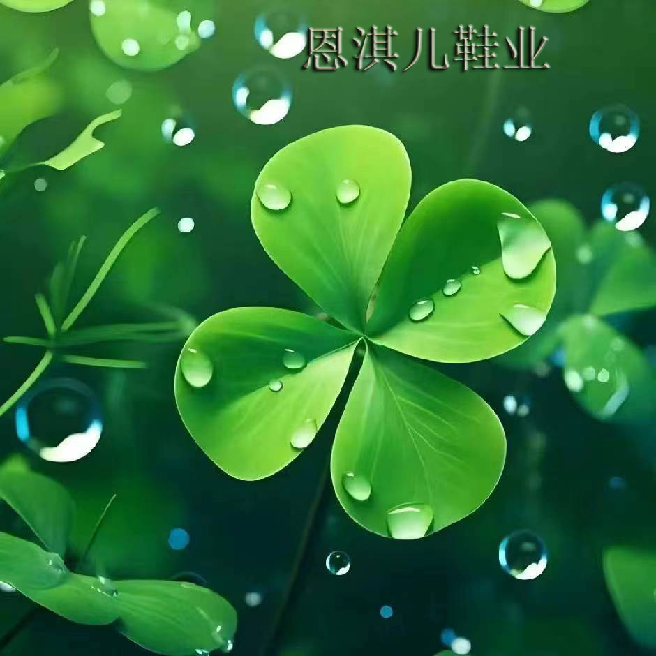 恩淇儿鞋业的LOGO