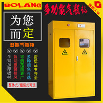 Supply of all-steel single bottle double bottle three bottles of intelligent alarm belt exhaust liquefied gas modern gas storage cabinet