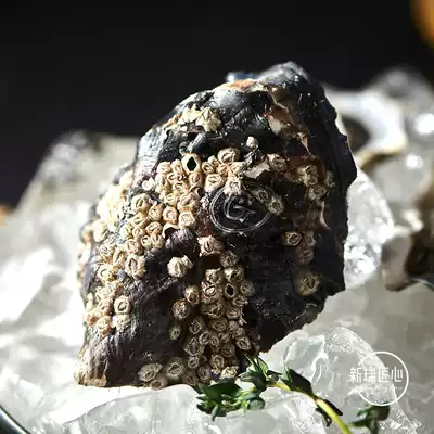 Air import French original fresh live oysters non-Girardo Gina N0 48 wooden boxes extra large sashinia