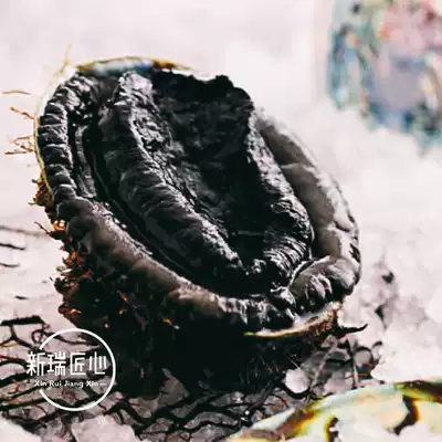 New Zealand imported 10-year black gold abalone large abalone 600g whole shelled deep-sea fishing live frozen sashimi soup