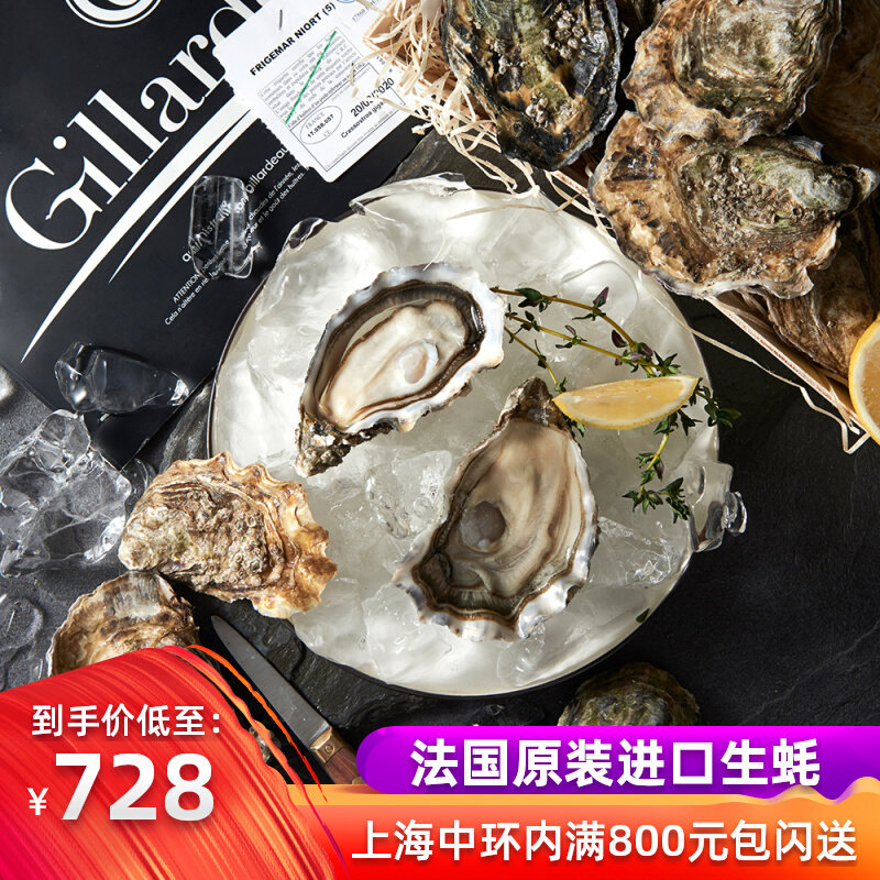 France Air Transport Original Live Raw Oyster Jenna N0 Number of 12 Wooden Boxes Extra-large Sashimi Oysters for Oyster Knives