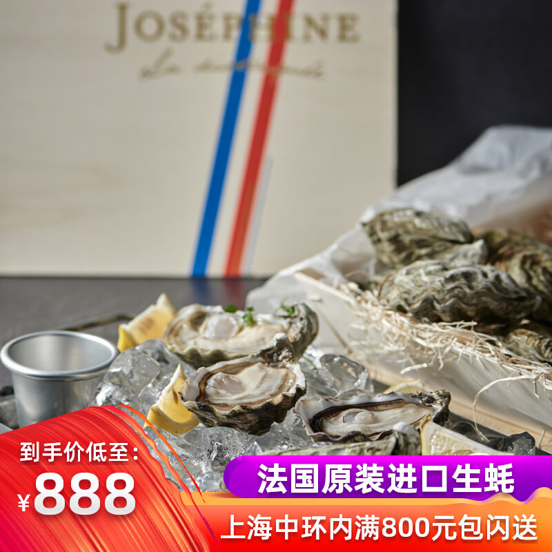 Air Freight Imports France Original Live Raw Oyster Josephine N1 N3 24 Gina Flowers Oyster Delivery Knife