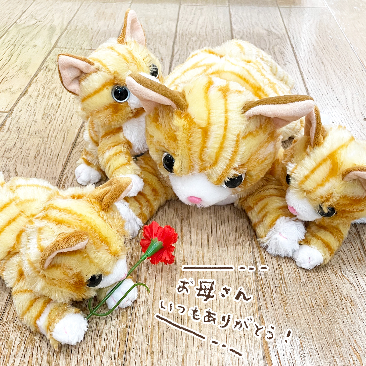 Japan cute and soft orange cat kitty plush toy doll tiger cat male and female friends Children's Day gifts