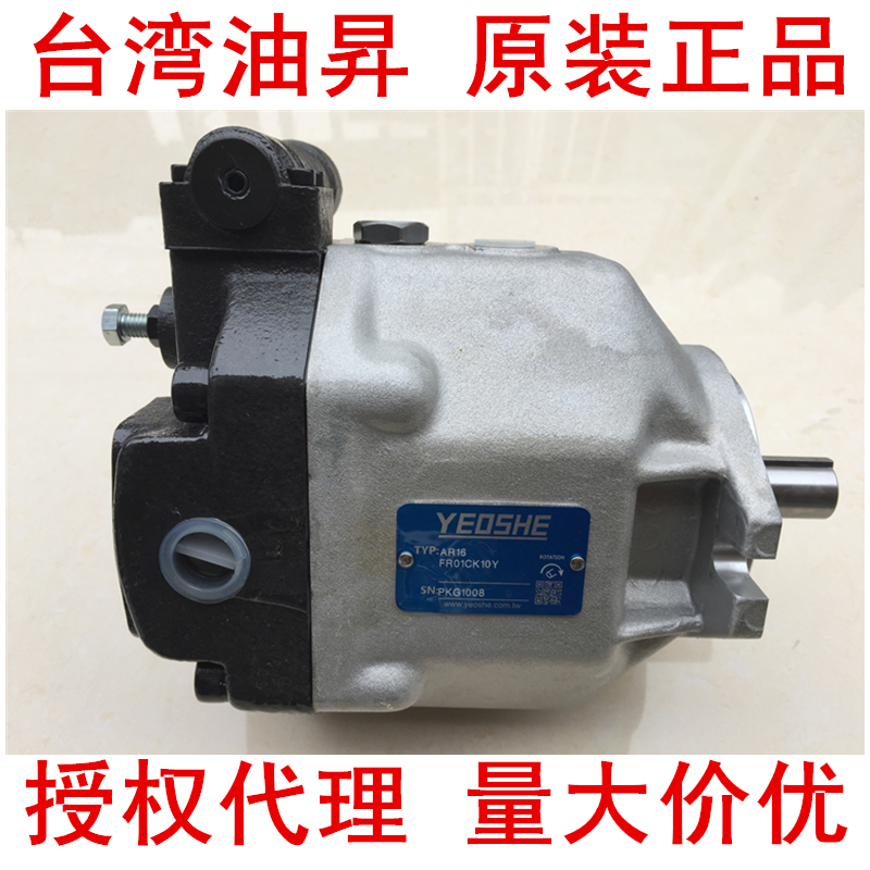 Taiwan Deyawei AR16-FR01C-20 AR16-FR01B-20 AR22-FR01C-20 Piston pump