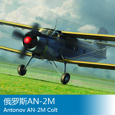 Fame Model Small Roger 81707 1 48 Russian AN-2M official special price