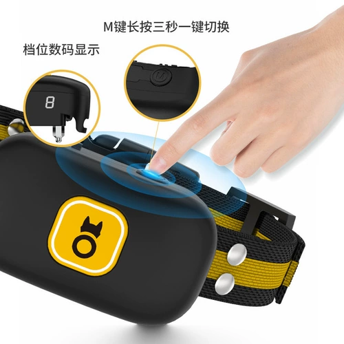 Устройство лайки для домашних собак называется тревожными людьми -подверженные связям собак