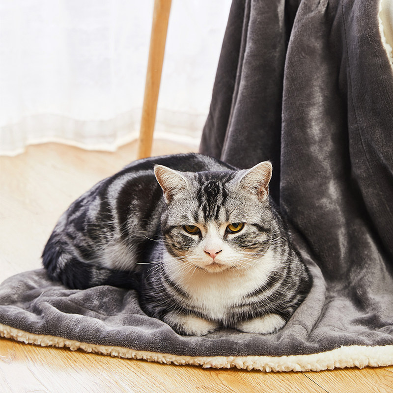 Pet blankets thickened kitty special sleeping not stained with sleeping mat small blanket puppy ground mat winter warm mat-Taobao