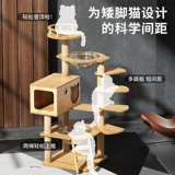 Коротко -сборочная кошачья стойка для кошачья кошачья кошачья кошачье дерево интегрированная платформа Mankang Коротколога с коротки