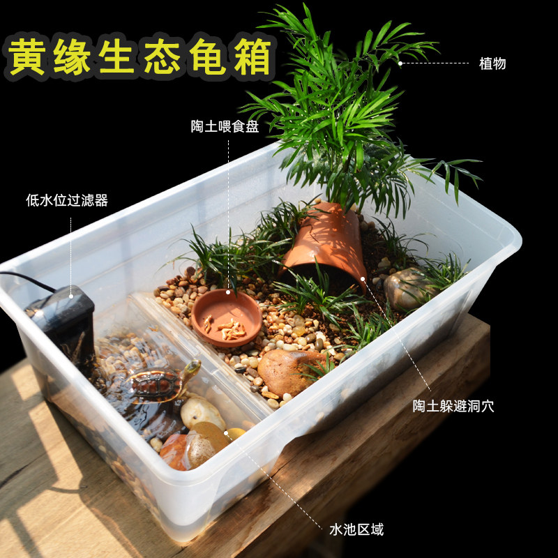 Yellow edge cylinder tortoise box Anedge Taiwan Turtle Tank Ambulidae closed shell Turtle cylinder Ecocylinder Amphibian Amphibious Semi-Water Turtle Dodge