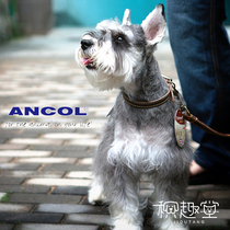 British imported ANCOL leather dog collar Anchol North American gray wolf collar small dog traction rope drawstring