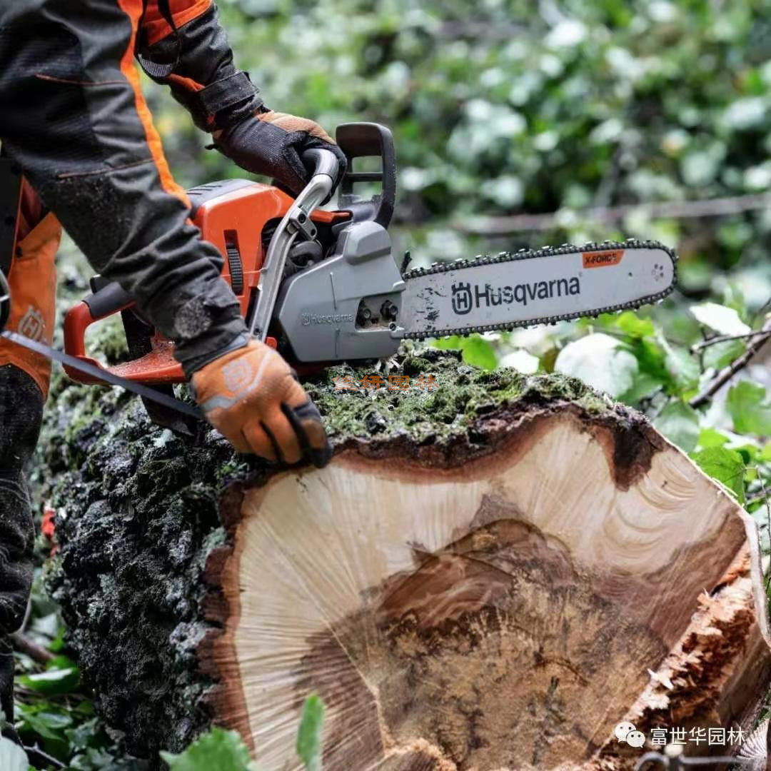 富世华油锯Husqvarna 130/450/572:伐木神器合集!瑞典黑科技油锯真实测评,看完我信了“专业”两个字-手工锯-淘宝好物网