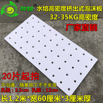 Earth-free cultivation experimental hydroponic cultivation of high density floating plate without soil and vegetable cultivation open pore foam board