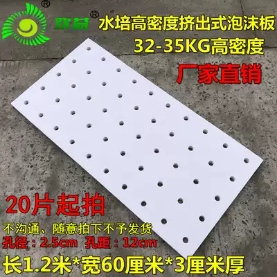Soilless cultivation experiment, hydroponic planting, high-density floating board, soilless nursery vegetable cultivation, drilling foam board