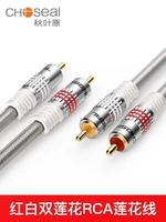 Akihabara High -Fideline Audio Audio Audio Audio Audio Audio Two Lotus Head RCA Line Open Vorganizer AV Line Two -Pair Two