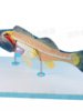 Bass Fish Anatomy Model with Detachable Internal Organs, Freshwater Fish Crucian Carp Internal Organs Relief, Fishery Aquatic Product Teaching