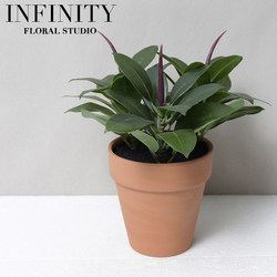 Nordic Home Potted Green Plant Ornaments Indoor Decoration Artificial Oak Tree Red Clay Flower Pot Desktop ins Style