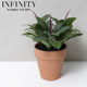 Nordic Home Potted Green Plant Ornaments Indoor Decoration Artificial Oak Tree Red Clay Flower Pot Desktop ins Style