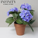 Nordic Artificial Hydrangea Plant Small Potted Plant ins Pastoral French-Style Ornament Decoration Korean-Style with Red Clay Flower Pot