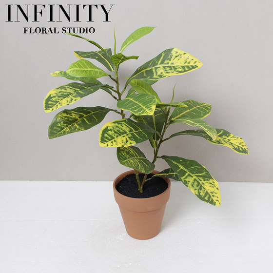 Simulated Foliage-Changing Plant Belgian Indian Banyan Potted Plant in Red Clay Flower Pot Green Plant Home Decoration Ornament Simple Natural Style