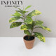 Simulated Foliage-Changing Plant Belgian Indian Banyan Potted Plant in Red Clay Flower Pot Green Plant Home Decoration Ornament Simple Natural Style