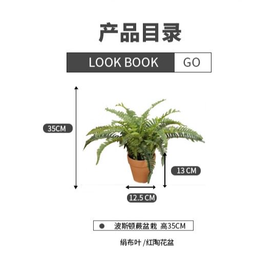 Simulated Boston Grass Green Plant Potted Indoor Living Room Desktop Ornament Fern Plant Fake Flower Decoration with Flower Pot