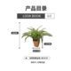 Simulated Boston Grass Green Plant Potted Indoor Living Room Desktop Ornament Fern Plant Fake Flower Decoration with Flower Pot