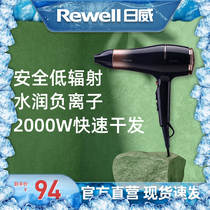 Zhiwei Electric Hair Dryer Domestic Hair Salon Hair Salon Negative Ion Size Power Hair Care Hair Dryer Silo Dorm Room With Students