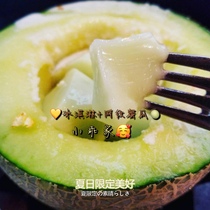 Mei long melon reticulated honeydew melon honey juice sweet and cooked the more delicious a piece of sea crisp and juicy 3 large pieces