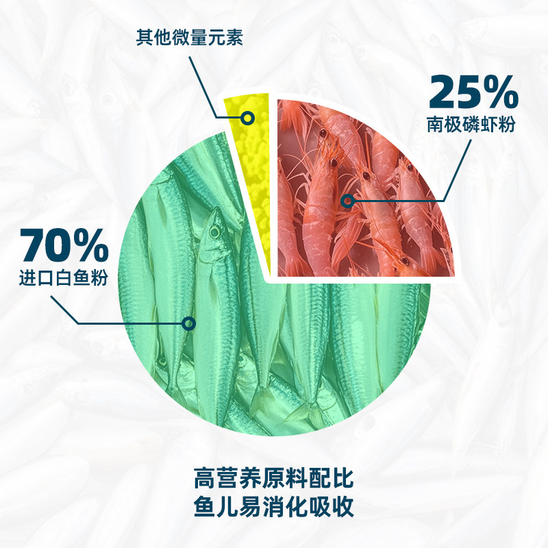 如何挑选适合小型热带鱼的高质量鱼食?-观赏鱼饲料-淘宝百科网