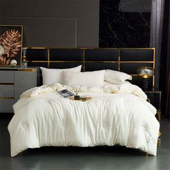 Colorful.Home Silky Bird's Nest Protein Winter Quilt Warm Winter Quilt 3.6kg 200*230cm