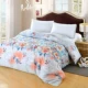 Một mảnh duy nhất của dày bông bông chăn quilt đúp sinh viên tăng nhám chăn quilt - Quilt Covers