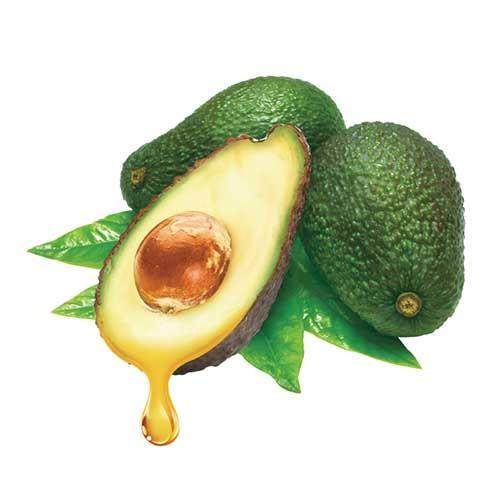 Avocado Oil Refined Aquarius Oil 100ML 1 liter lipstick DIY raw material Self - made lipstick material Base oil