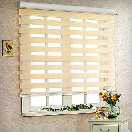 ��֮�ϰ�Ҷ����ɴ��B-66