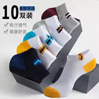 【Color Sports】