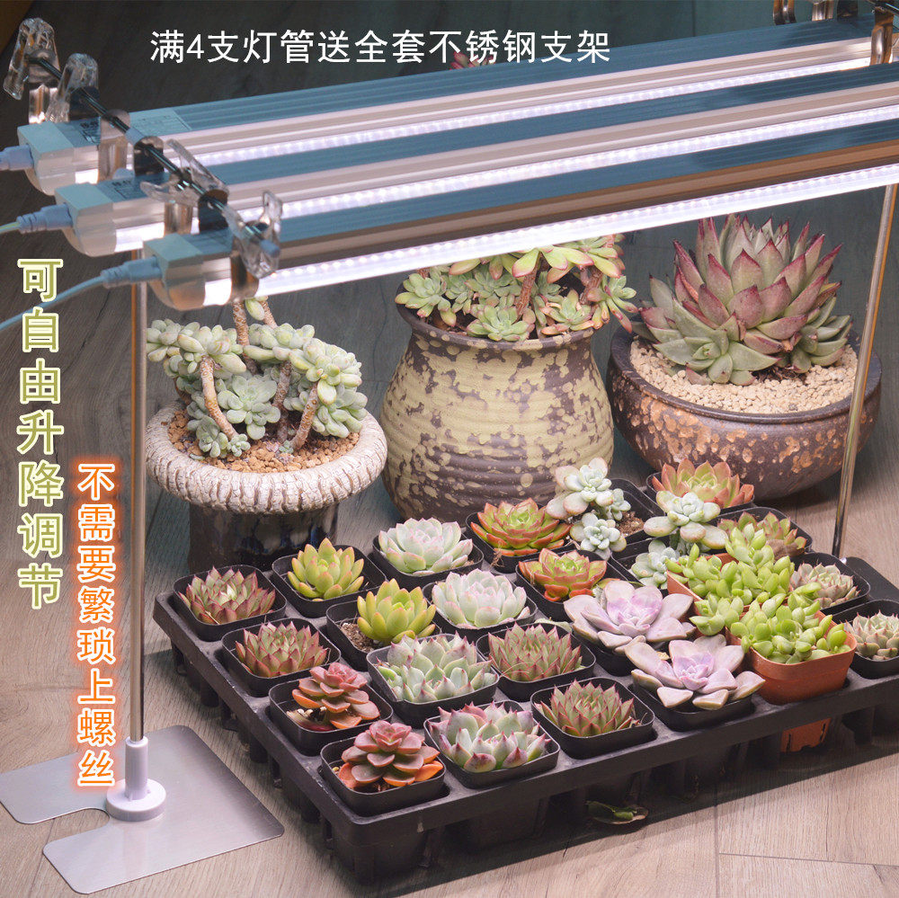 T8 multi - meat filling lamp for crop - spectral LED plant growth lamp and vegetable floral replenishment group