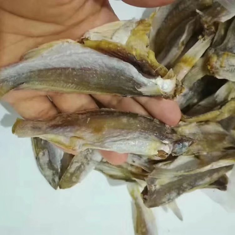 阳江小黄花鱼干：如何选购合适的烧烤鱼干？