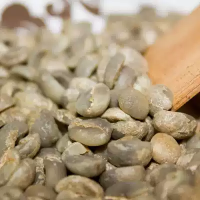 Medium coffee 1500 meters high altitude Yunnan small coffee AA raw beans coffee beans 454 grams handpicked new beans