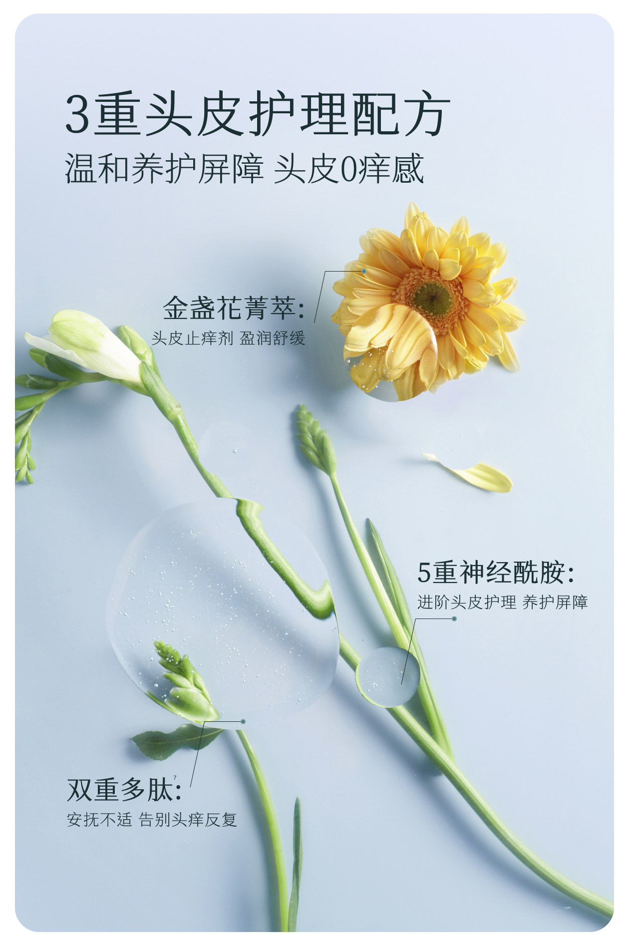 【中國直郵】 半畝花田 洗髮精 控油蓬鬆去屑止癢柔順改善乾枯毛躁 控油洗髮精 333g