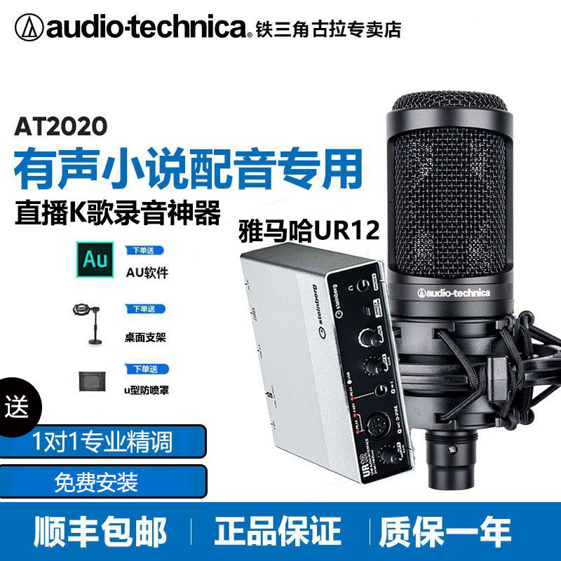 Iron triangle at2020 capacitive microphone with sound book recording special device full suit Himalayan novel dubbing mic mountain leaf UR22C external high end sound card live K song