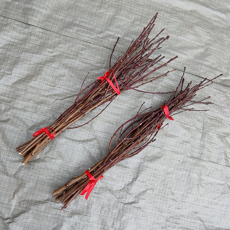 Town Mansion Peach Blossom Branch Wild Peach Wood Stick Light Extravagant Hand Dry Branch Balcony Decorated Bedroom Living Room Southeast Peach Tree Protective-Taobao