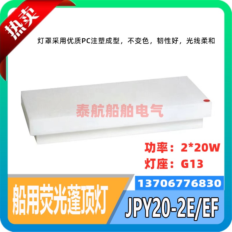 Marine embedded double-tube fluorescent canopy ceiling lamp JPY20-2E with emergency rotary lamp holder ZYP20-2 spot